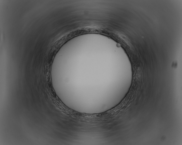 X0000091671015200708231008