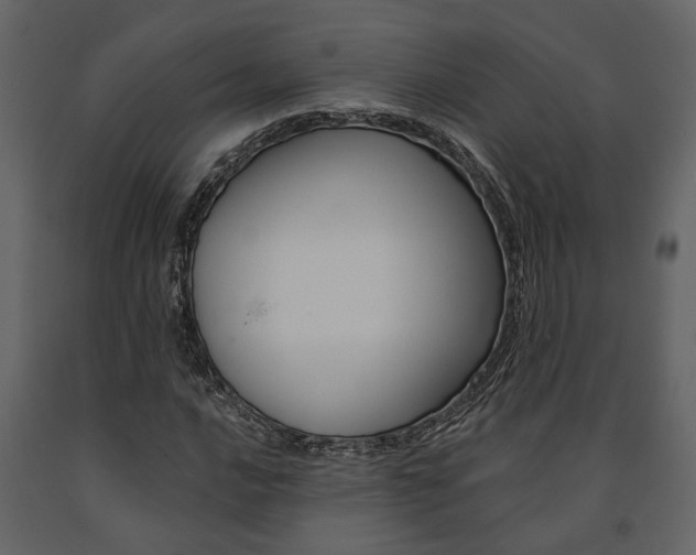 X0000091671016200708231008