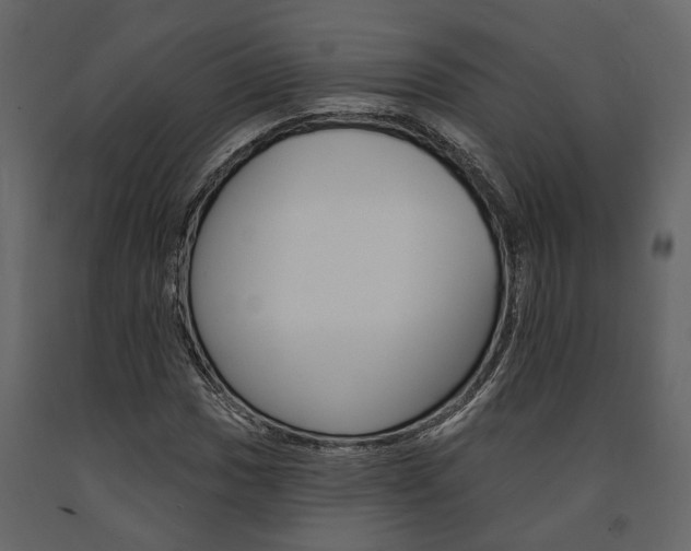 X0000091671017200708231008