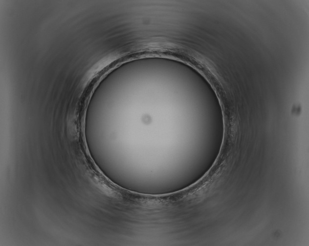 X0000091671018200708231008