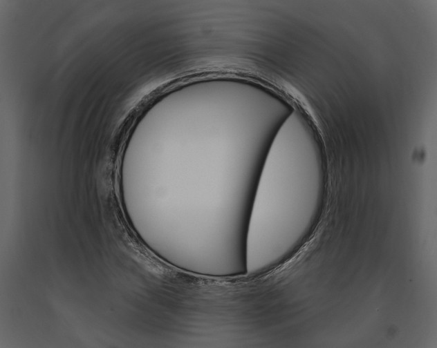 X0000091671019200708231008