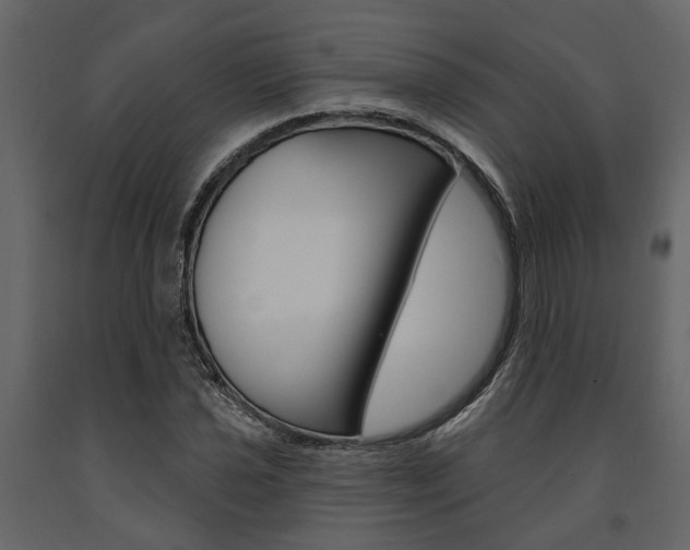 X0000091671021200708231008