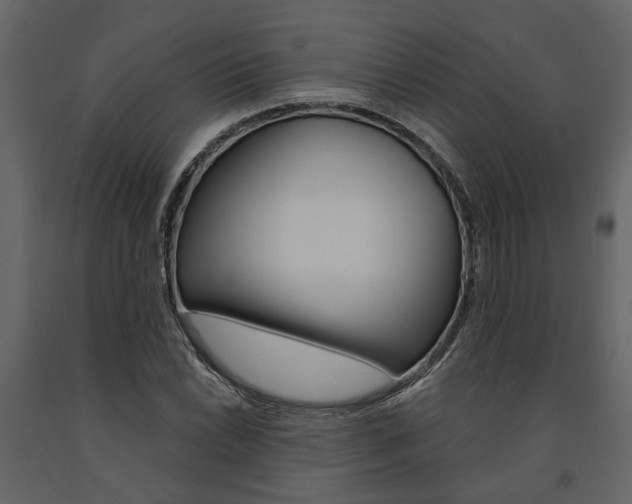 X0000091671022200708231008