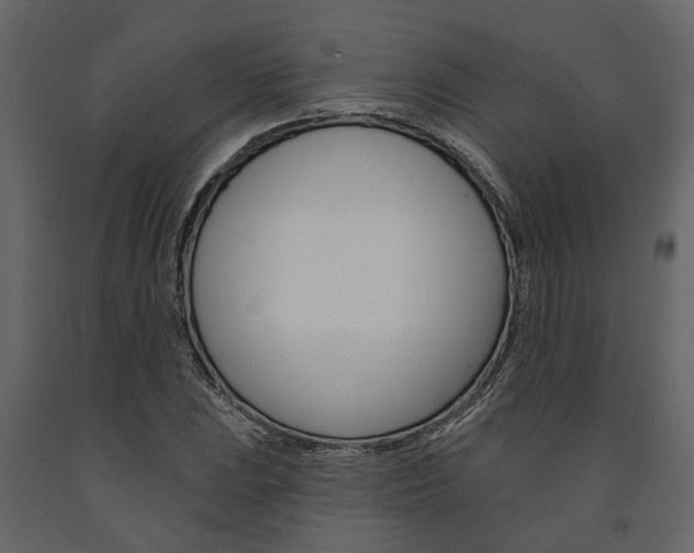 X0000091671023200708231008