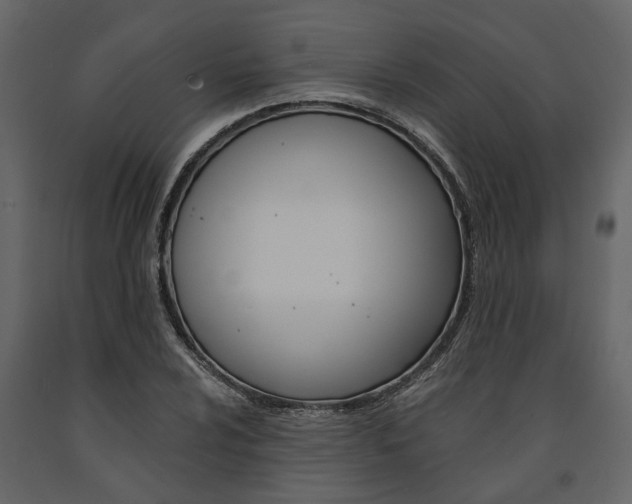 X0000091671024200708231008