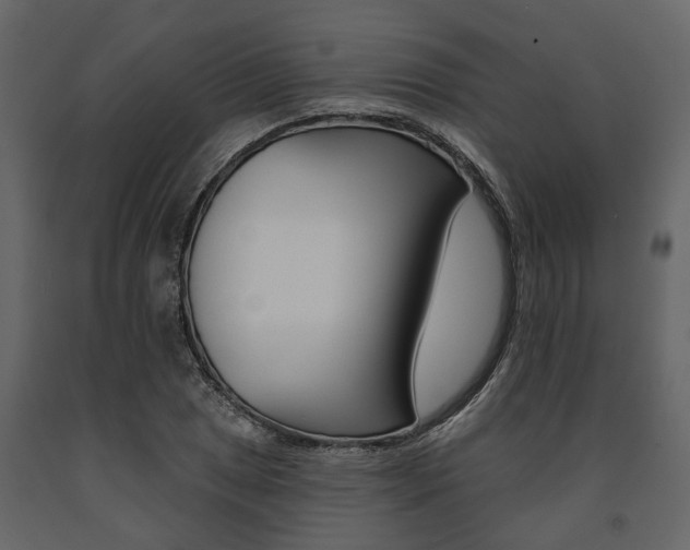 X0000091671025200708231008