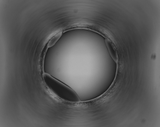 X0000091671026200708231008