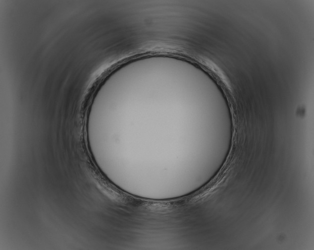 X0000091671027200708231008