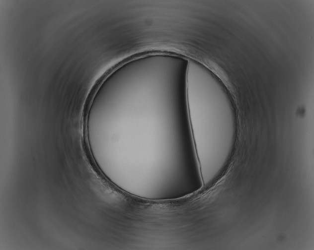 X0000091671028200708231009