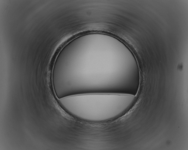 X0000091671029200708231009