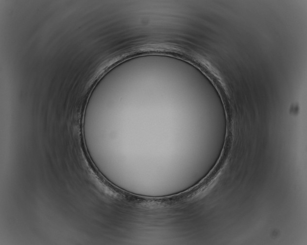 X0000091671033200708231009
