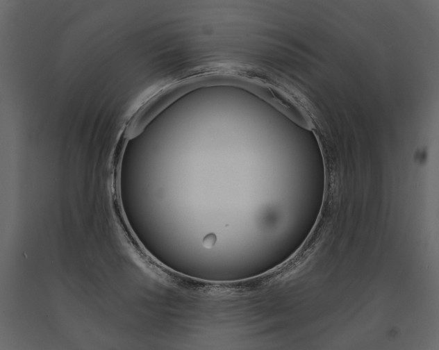 X0000091671034200708231009