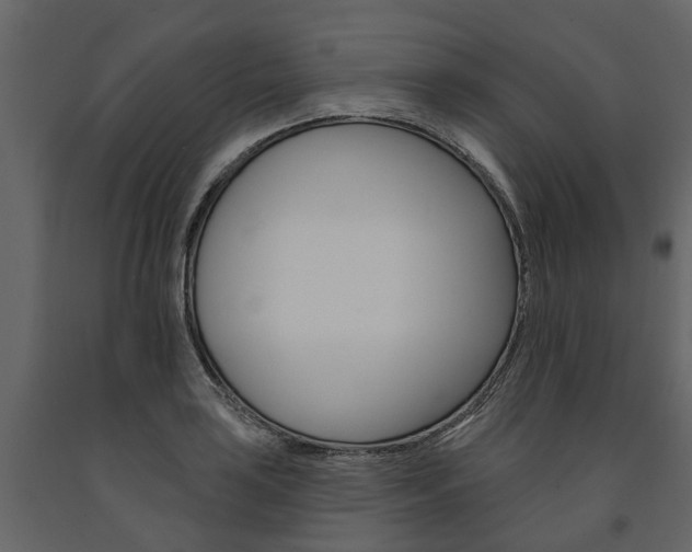X0000091671035200708231009