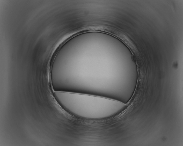X0000091671036200708231009