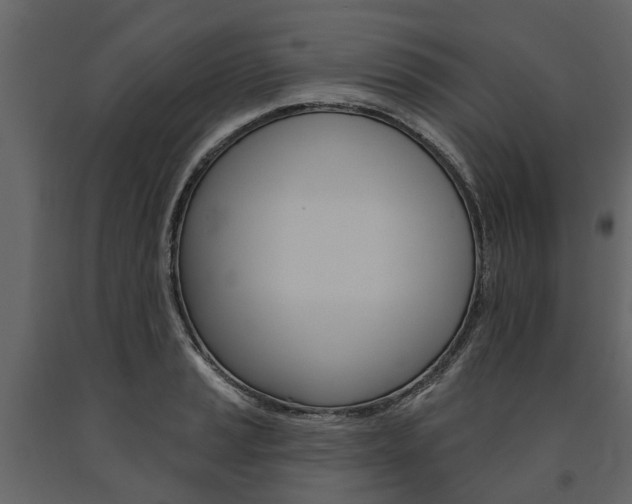 X0000091671037200708231009