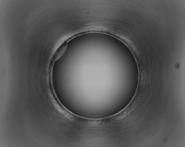 X0000091671038200708231009