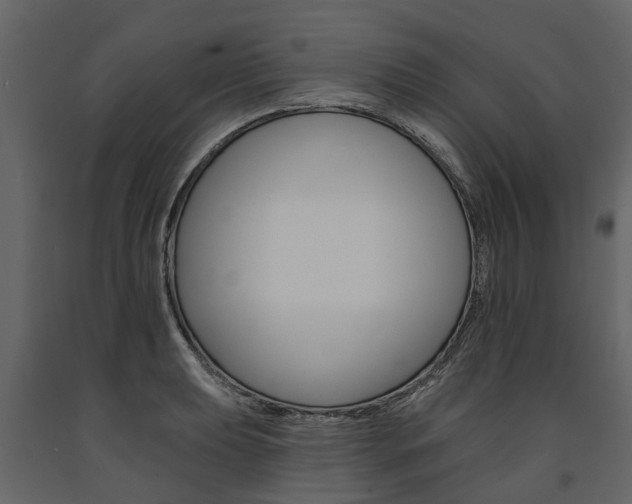 X0000091671039200708231009