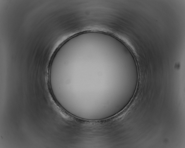 X0000091671040200708231009