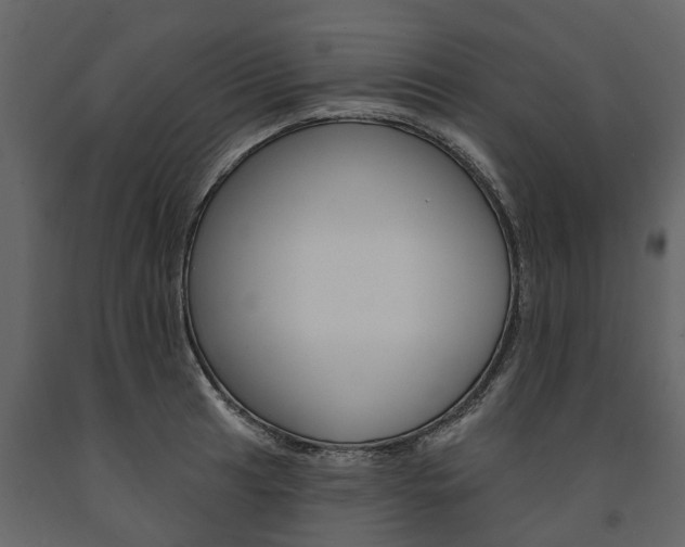 X0000091671041200708231009
