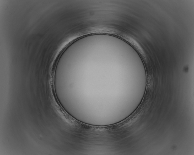X0000091671043200708231009