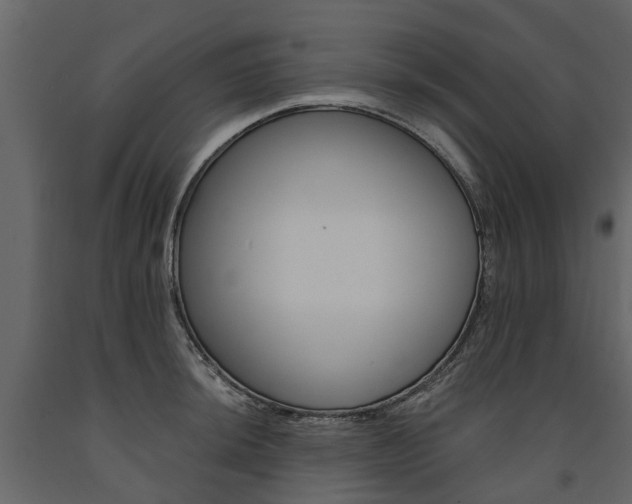 X0000091671044200708231009