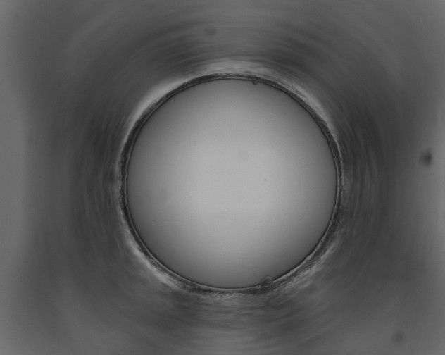 X0000091671045200708231009