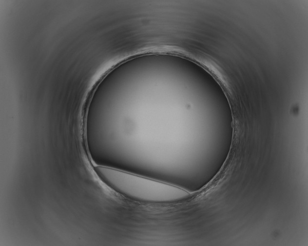X0000091671046200708231009