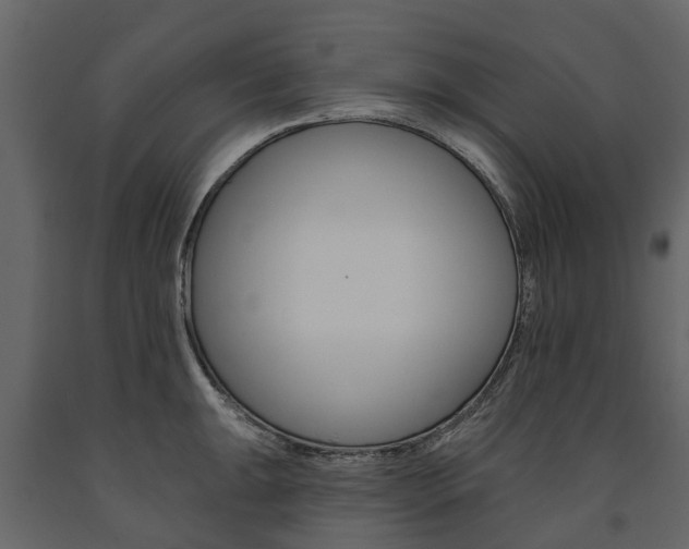 X0000091671047200708231009