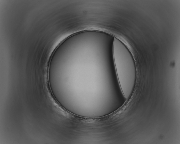 X0000091671048200708231009