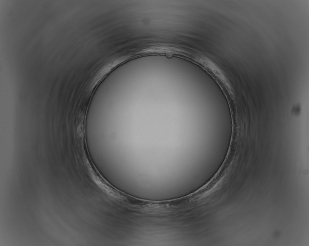 X0000091671049200708231009