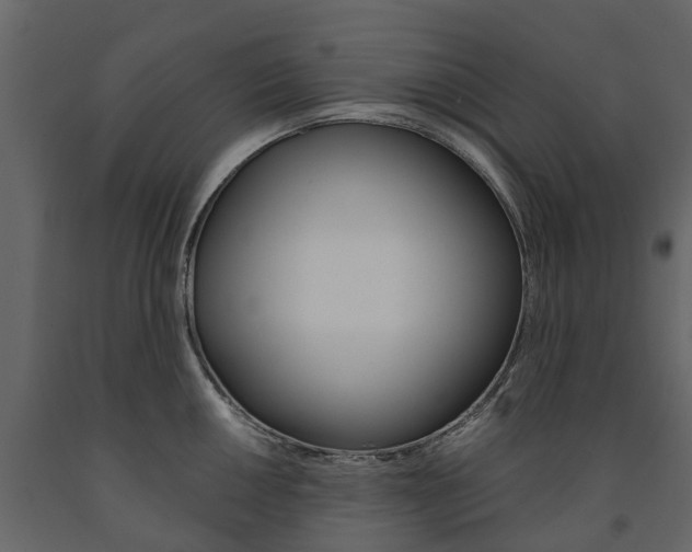 X0000091671050200708231009