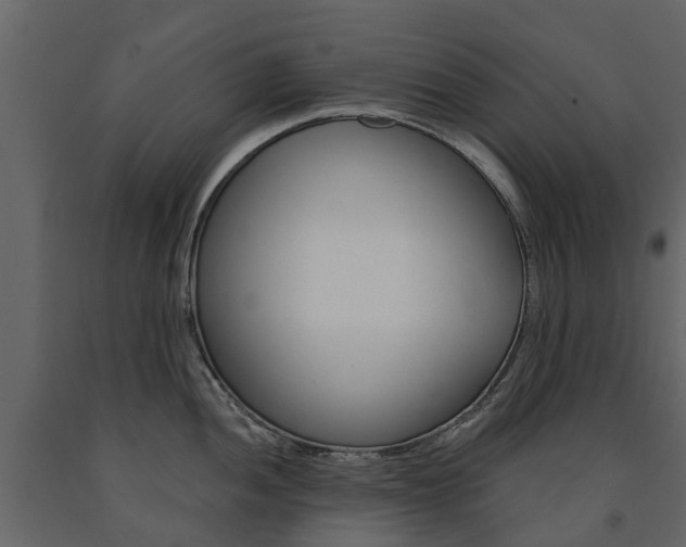 X0000091671052200708231009