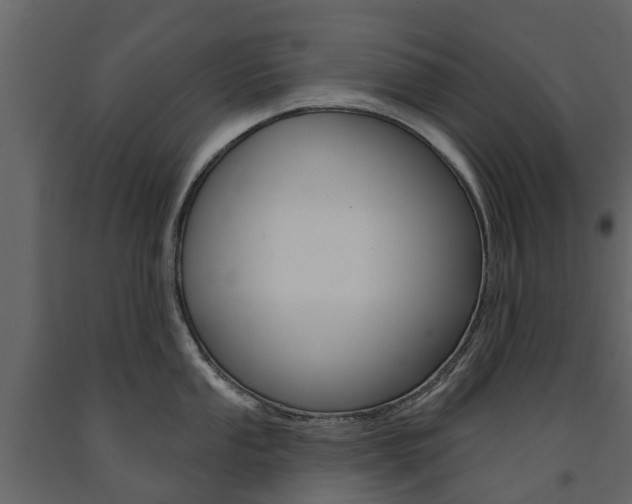 X0000091671053200708231009