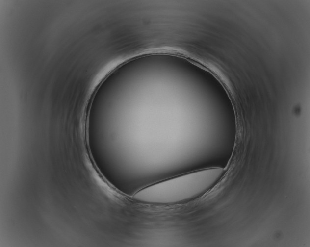 X0000091671054200708231009
