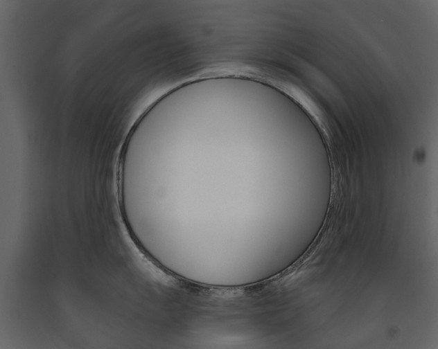 X0000091671055200708231009