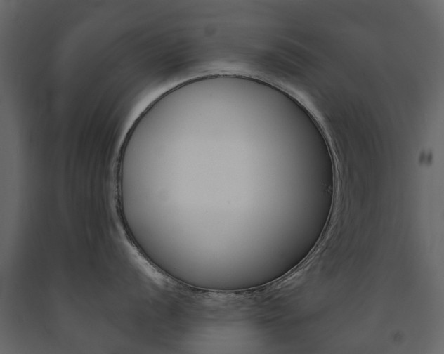 X0000091671056200708231009