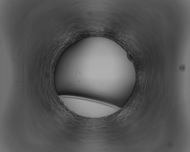 X0000091671057200708231008