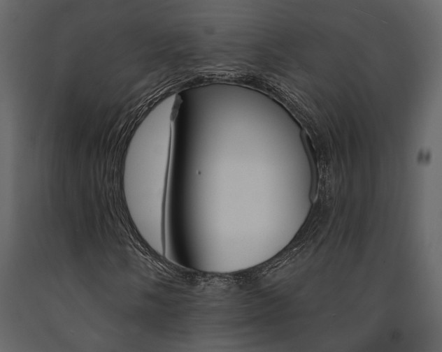 X0000091671058200708231008