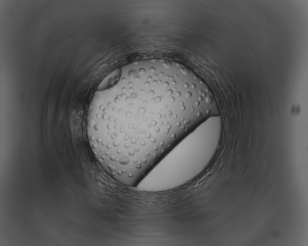 X0000091671059200708231008