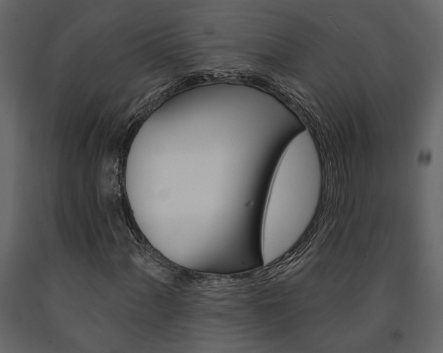X0000091671060200708231008