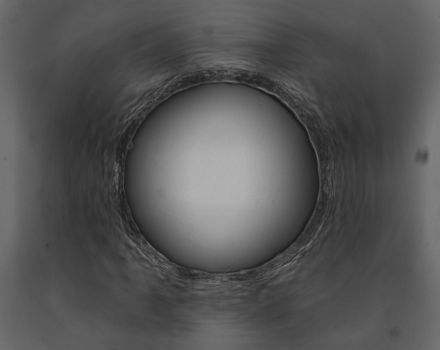 X0000091671061200708231008