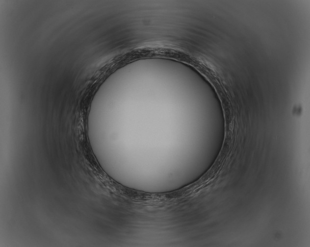 X0000091671062200708231008