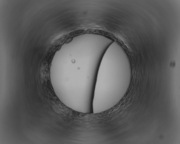 X0000091671063200708231008