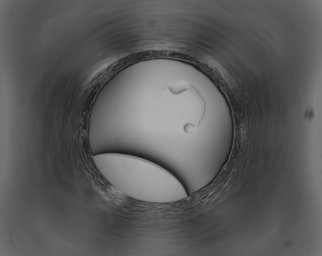 X0000091671064200708231008