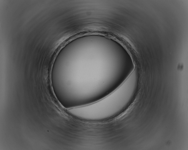 X0000091671065200708231008