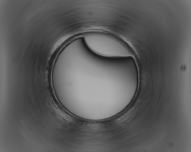 X0000091671066200708231008