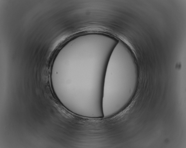 X0000091671067200708231008