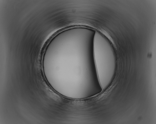X0000091671068200708231008