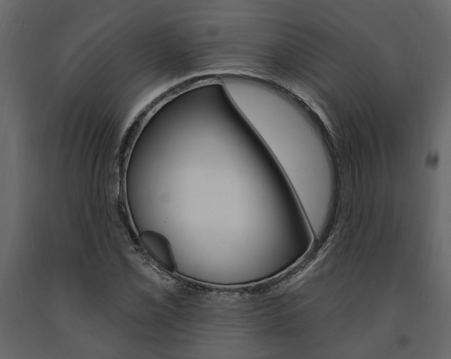 X0000091671069200708231008