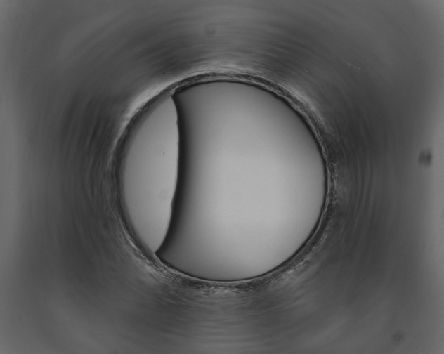 X0000091671070200708231008
